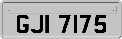GJI7175