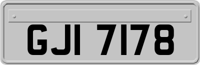 GJI7178