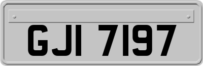 GJI7197