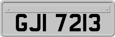 GJI7213