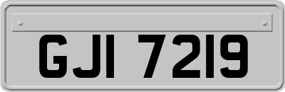 GJI7219