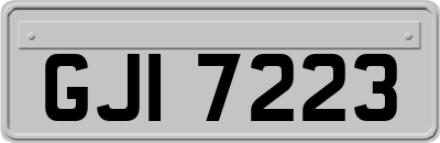 GJI7223