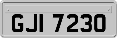 GJI7230