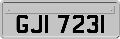 GJI7231