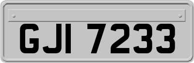 GJI7233