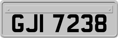 GJI7238