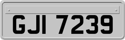 GJI7239