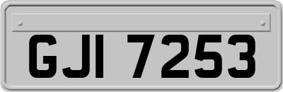 GJI7253
