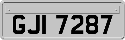 GJI7287