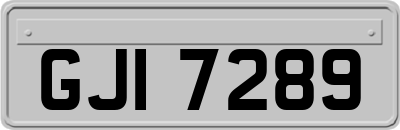 GJI7289
