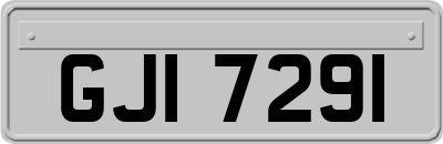GJI7291