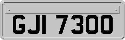 GJI7300