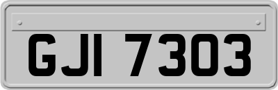 GJI7303