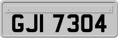 GJI7304