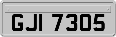 GJI7305