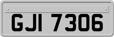 GJI7306