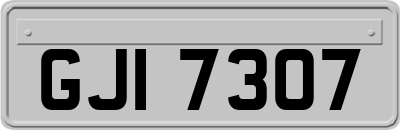 GJI7307