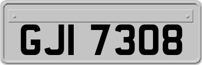 GJI7308