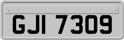 GJI7309