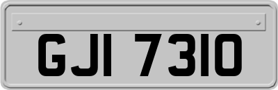 GJI7310