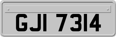GJI7314