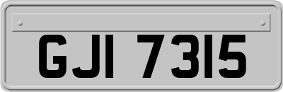 GJI7315