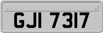GJI7317