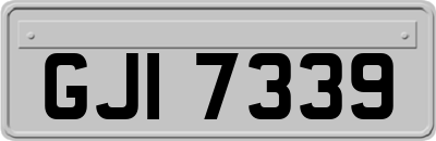 GJI7339