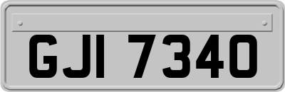 GJI7340