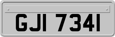 GJI7341