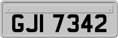 GJI7342