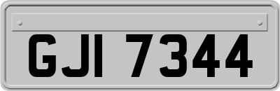 GJI7344