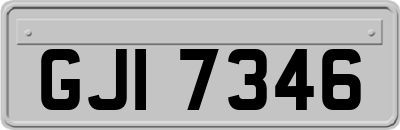 GJI7346