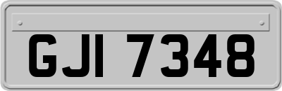 GJI7348
