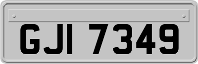 GJI7349