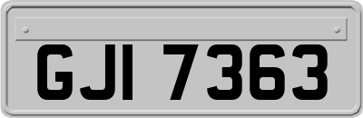 GJI7363