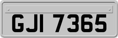 GJI7365