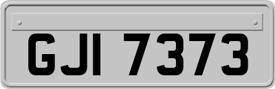 GJI7373