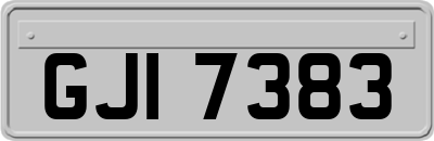 GJI7383