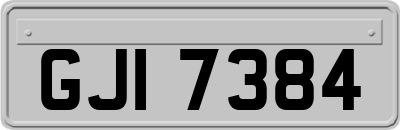 GJI7384