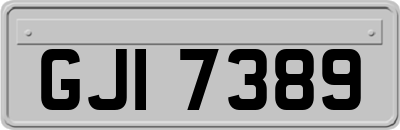 GJI7389