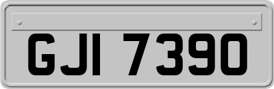 GJI7390