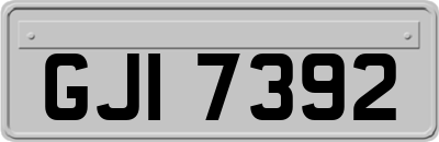 GJI7392