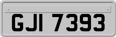 GJI7393