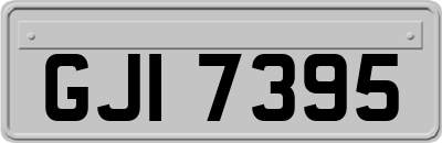 GJI7395