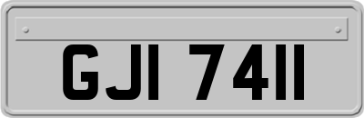 GJI7411