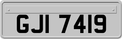 GJI7419