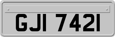 GJI7421