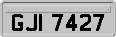 GJI7427
