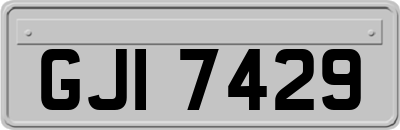 GJI7429